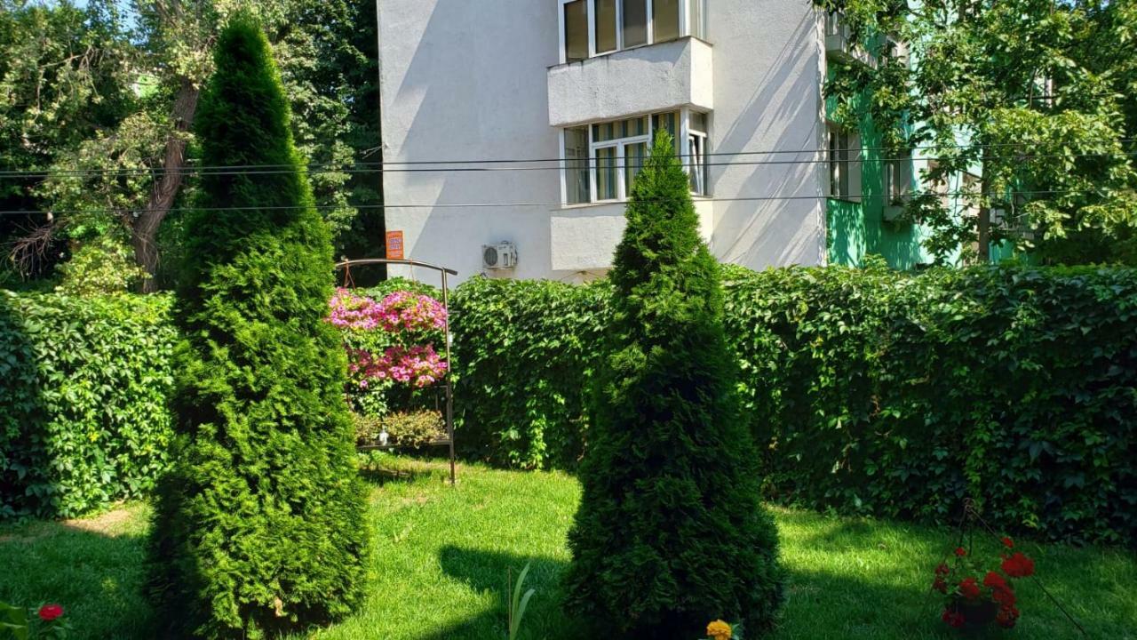 Вилла Vila 33 Констанца Экстерьер фото